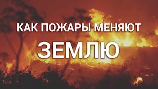 Как пожары меняют Землю