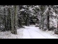 Nikon Coolpix P7000 video test - Finnish countryside in winter (HD)