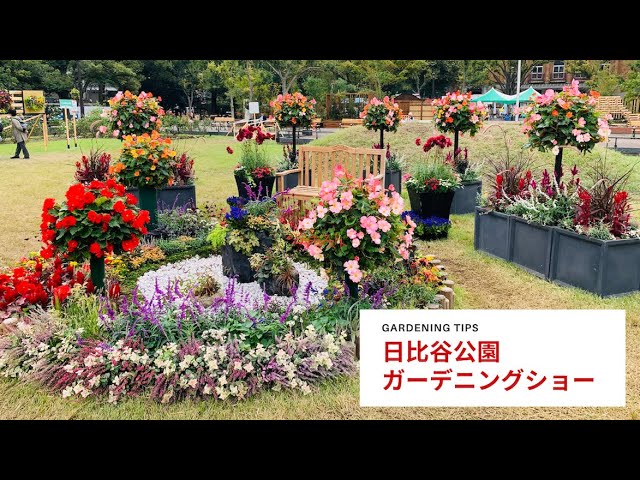 日比谷公園 ガーデニングショー へ行ってきました Youtube 日比谷公園 ガーデニングショー へ行ってきました Youtube