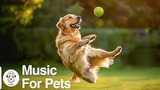 48 Hours of Soothe Dog's Anxiety: DOG TVBest Anti Anxiety, Boredom Busting Video with Music for Dog