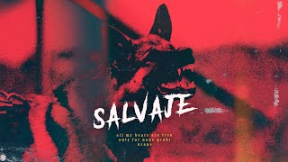 [FREE] Freestyle Trap Beat | Hard Trap Type Beat (Hip Hop Instrumental) - "Salvaje''