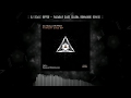 [ACID techno / 2018] Faraday cage (SASHA ROMANIUK remix) - Dj Scale Ripper