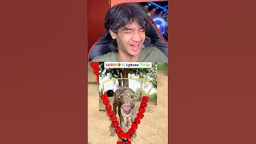 TRY NOT TO LAUGH CHALLENGE 😂| Wait For End | #PPLT PPLT251