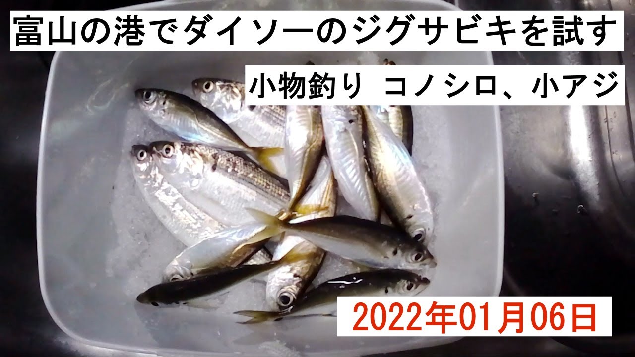 富山の港でダイソーのジグサビキを試す 小物釣り 22年 1月6日 Youtube