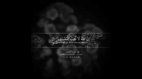 سورة القصص - القارئ عبدالرحمن العوسي