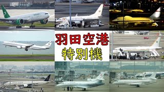 【Enthronement Ceremony】Special aircraft at Haneda Airport