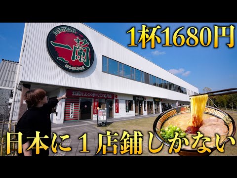 一蘭　有田焼　令和　どんぶり　超希少　レア 一蘭 有田焼 令和 どんぶり 超希少 レア Only one store in