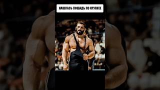Его Боялись Все Борцы На Планете, Кроме Армянского Танка...