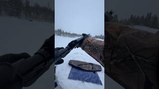 Сайга 308 исп. 46 #shorts #guns #shooting