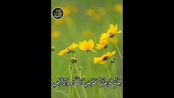 ما تيسر من سورة الحديد بصوت الشيخ ياسر الدوسري 🎧