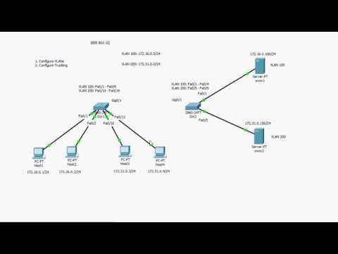 Configuring switch vlans and trunking