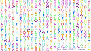 Gene Music using Protein Sequence of MCHR1 "MELANIN-CONCENTRATING HORMONE RECEPTOR 1"