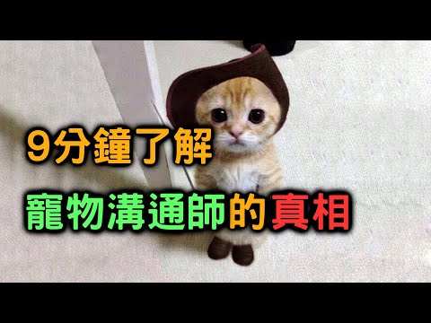 9分鐘了解寵物溝通師的真相 【搞宗教030】