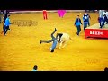 Top bull fights  bull fails  bulls getting their revenge on humans  bull fights gone wrong