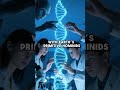 Human Origins, Hidden History, Forbidden Knowledge #shorts