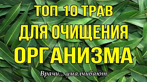 Топ 10 трав для очищения организма - врачи... умалчивают