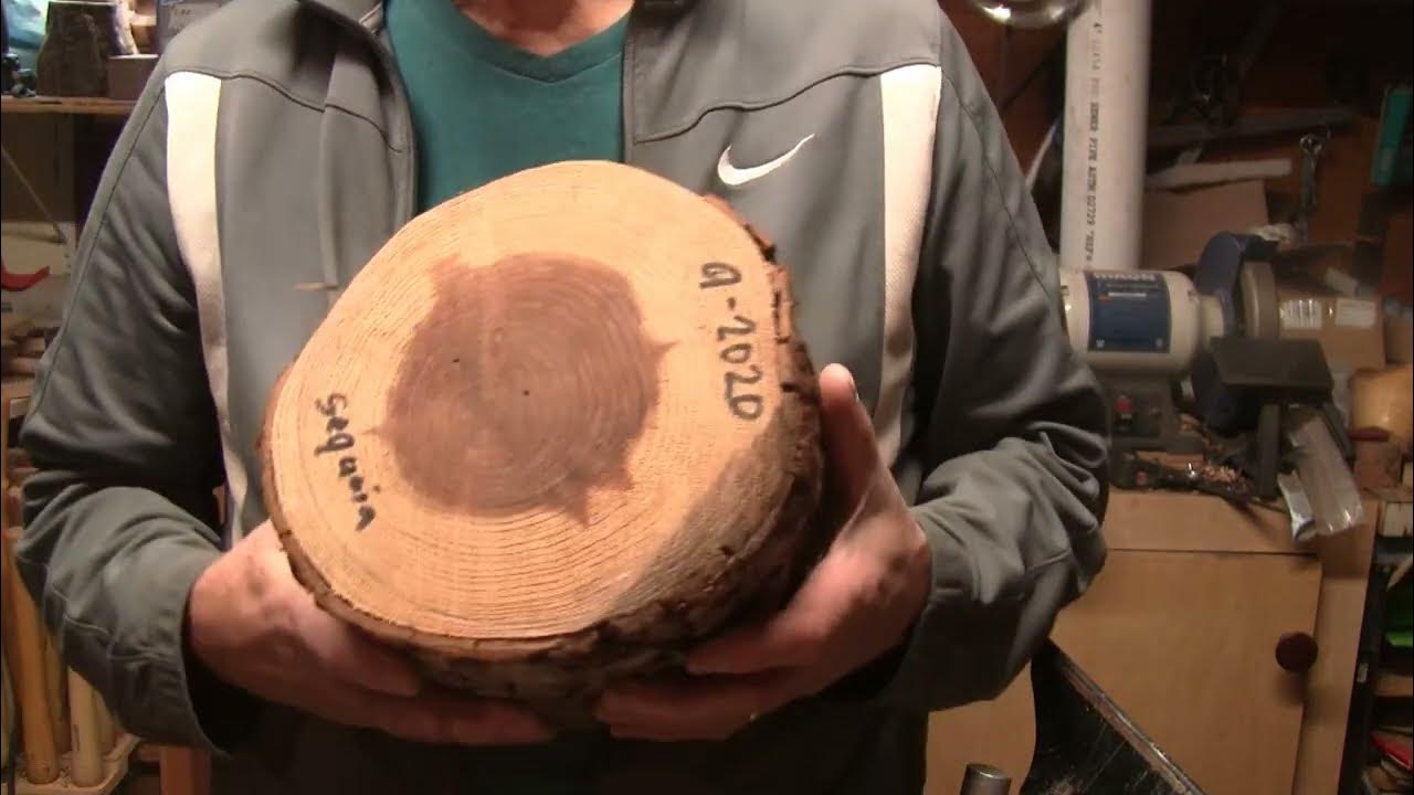 Upside Down In The Sequoia Wood Turning - YouTube