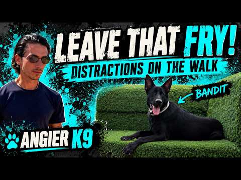 Bandit’s Hillsborough Street session