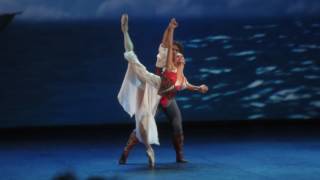 Ivan Vasiliev &amp; Ekaterina Borchenko   Le Corsaire 2015  FPdd