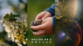 I think this is my new Favourite Lens | Helios 44-2 | Test Footage on Blackmagic Cinema Camera 6K