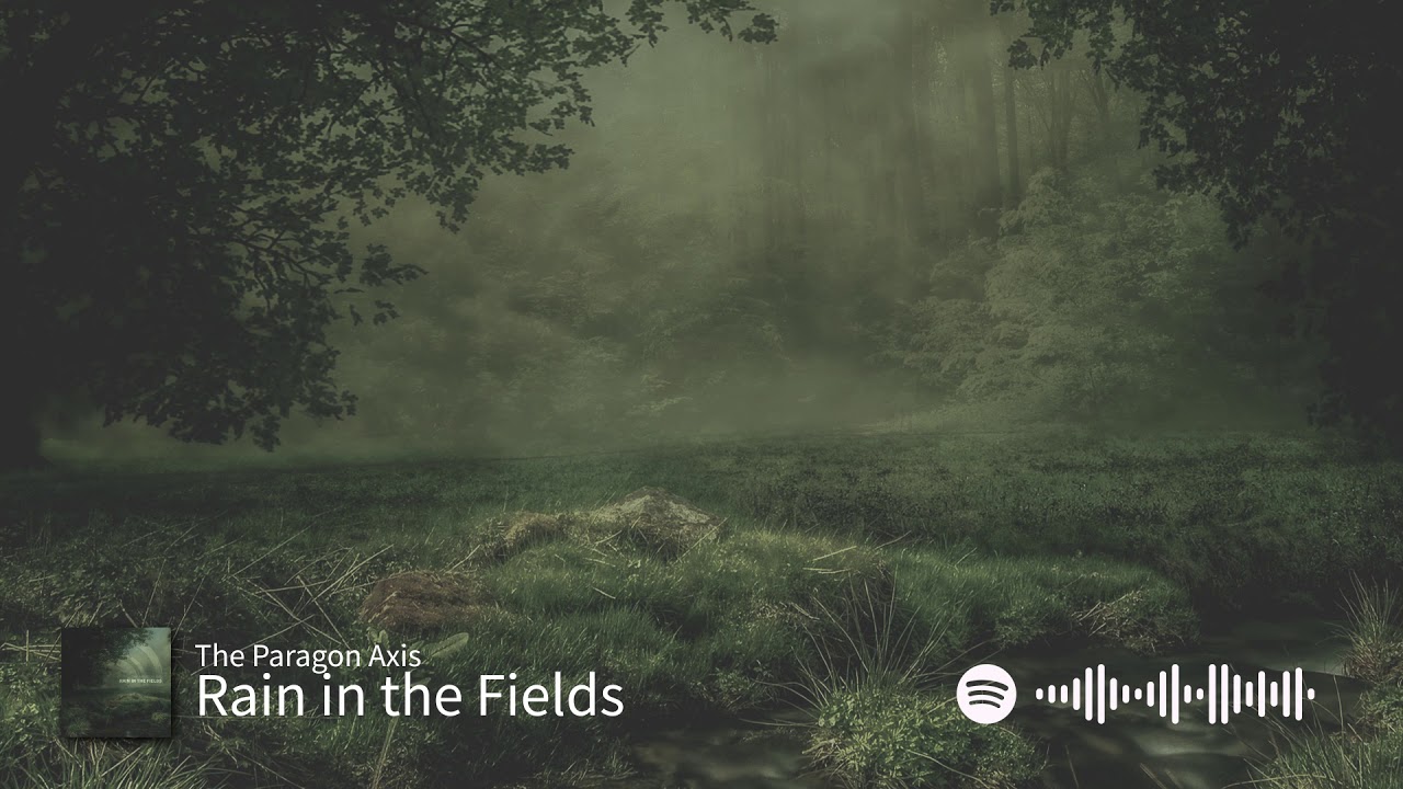 ⁣The Paragon Axis - Rain in the Fields