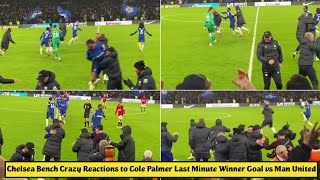 😅 Chelsea Bench Crazy Reactions to Cole Palmer Last Minute Winner Goal vs Manchester United