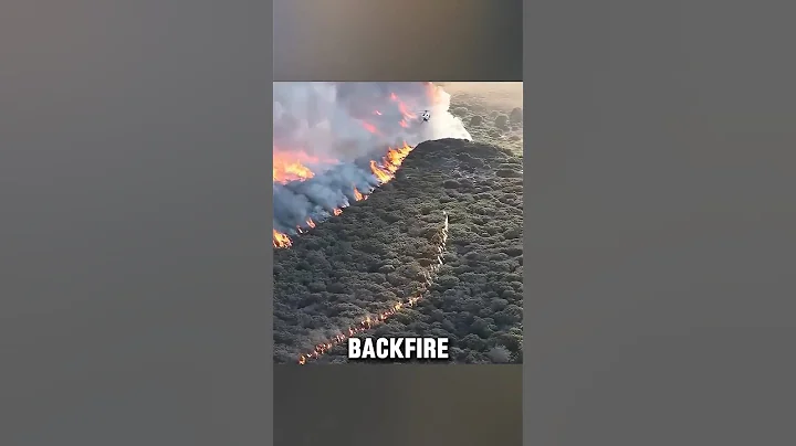 Why Firefighters Start Fires to Stop Wildfires 🤔😲 #shortsfeed #youtubeshorts #shorts #facts #fire