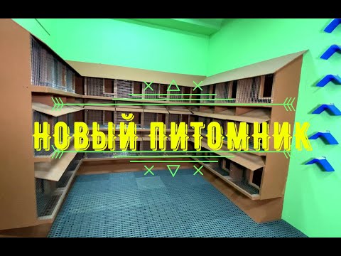 Я построил новый