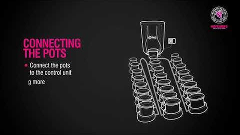 IWS Flood & Drain Set Up