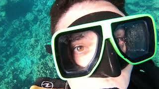 Unbelievable Scuba Diving In Ningaloo Reef Swimming With Turtles, Manta Rays, And Vibrant Fish