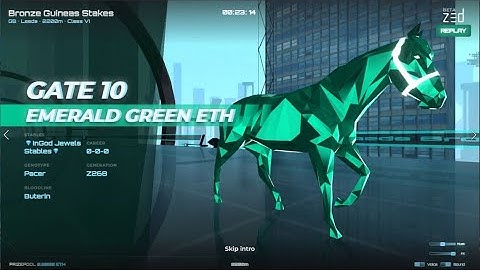 ZED RUN Bronze Guineas Stakes 2200ｍ