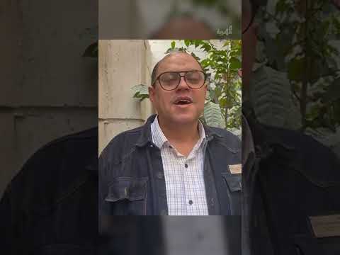 الكاتب الكبير محمد الحبيشي مؤلف مسلسل درة يهنئ المهرية بـ 2 مليون مشترك