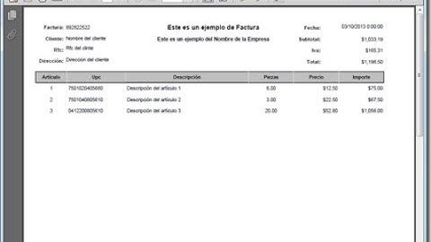 Como crear un reporte rdlc con parametros en VB.NET (Reportviewer) y MS-Access
