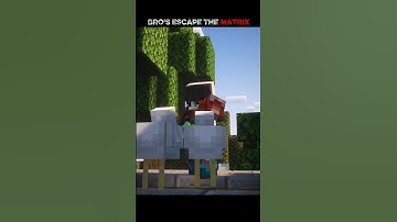 They Escape The Matrix 💀 #minecraft #shorts