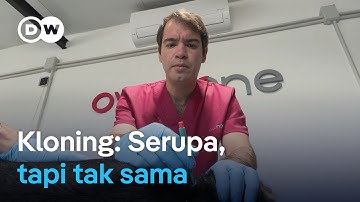 Laboratorium pertama di Eropa buka jasa kloning anjing dan kucing | Focus on Europe