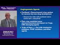 Gastric Cancer: Update on First-Line Therapies