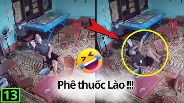 Các Tình Huống Hài Hước Nhất Thế Giới Cười Đau Bụng ( Tập 13 ) | Hài 10 Phút