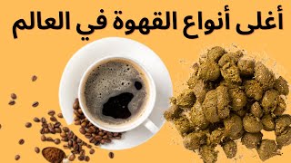 4إستخدامات مفيدة لبراز الحيوانات ومخلفاتها العضوية من بينها أغلى قهوة في العالم..
