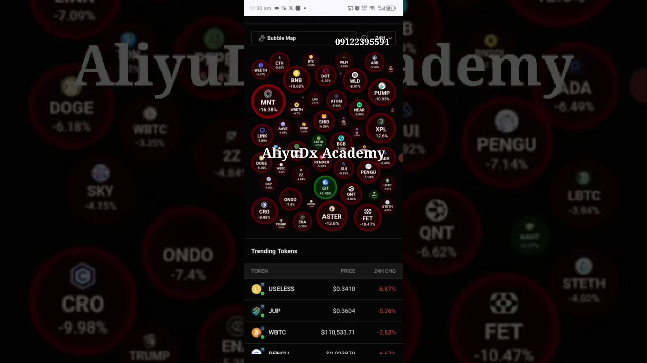 How to Track a Smart Trader & Whales Wallet using Ave.ai Step-by-Step (1) YADDA AKE TRACKING WALLET 