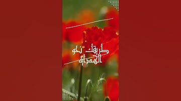 #القران #اكسبلور #يارب القران الكريم بصوت ملائكي