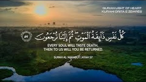 {كل نفسٍ ذائقة الموت} تلاوة تقشعر لها الأبدان بصوت عبد الرحمن مسعد 🥺❤️ Abdulrhman Mosad