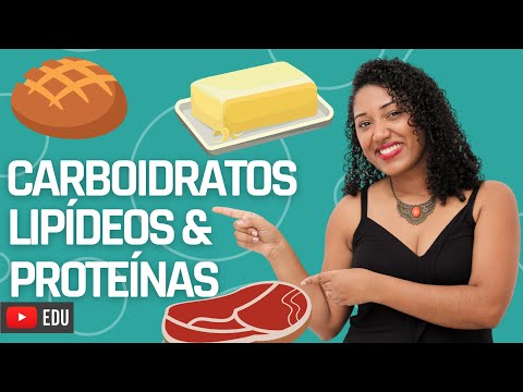 Vídeo: Diferença Entre Carboidratos E Lipídios