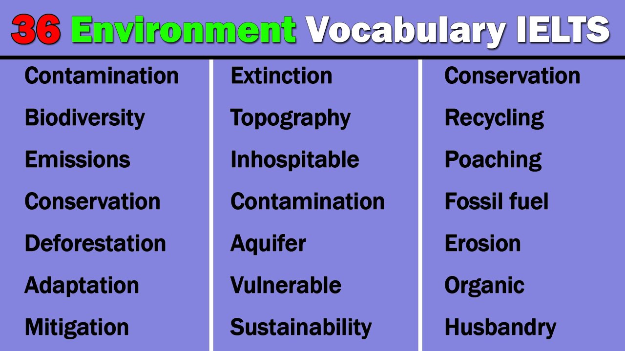 environment essay vocabulary ielts