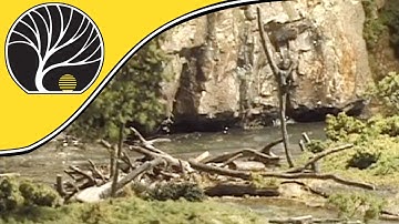 Model Scenery Made Easy - Dead Fall