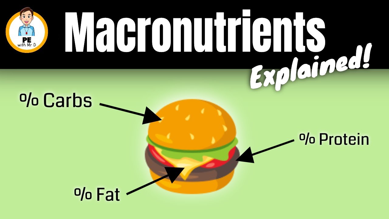 Learn the 3 Macronutrients! Carbohydrates, Fat & Protein explained for ...