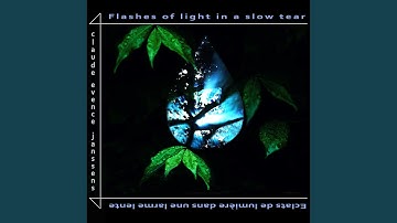 Variations on a Given Light Beam