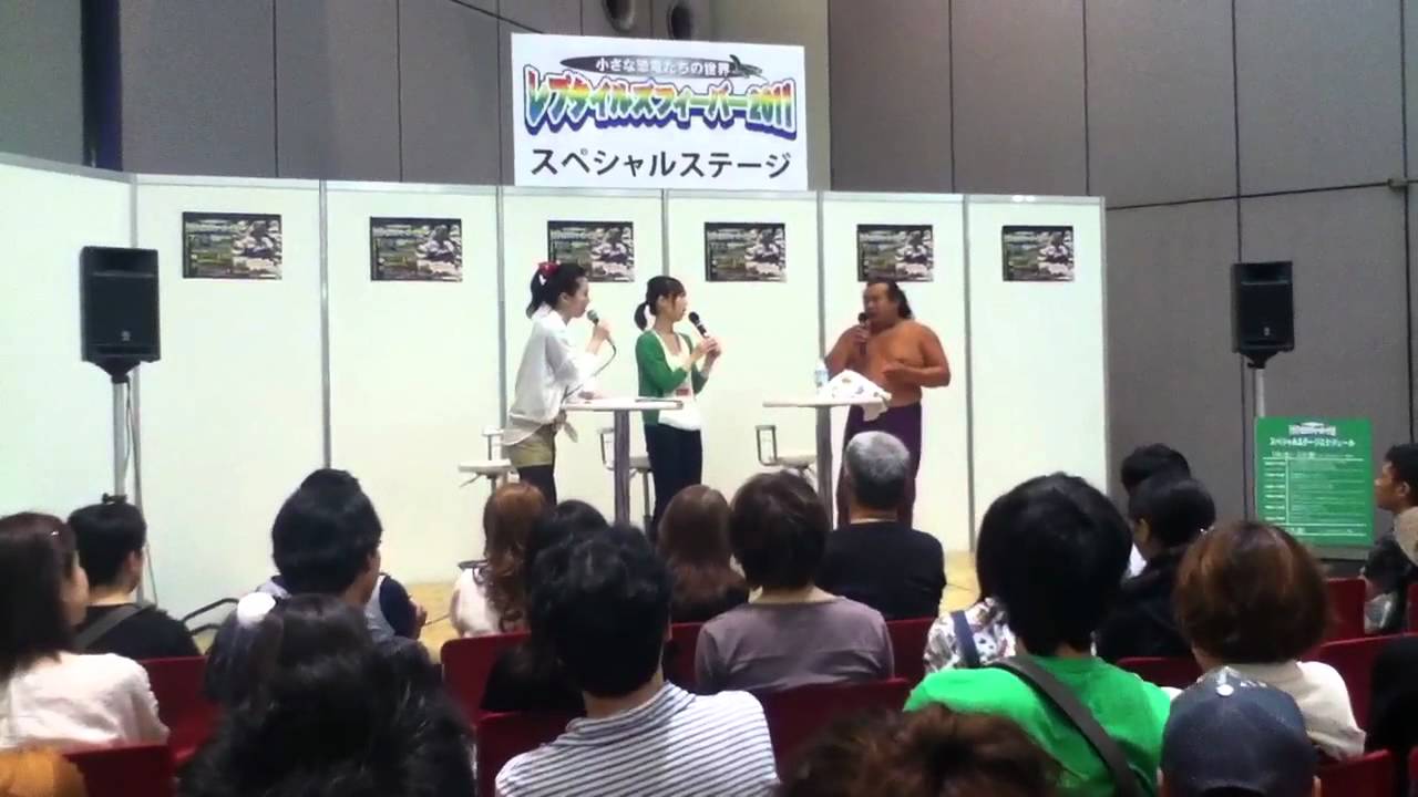 レプタイルズフィーバー パンク町田 Youtube