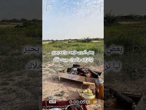 قصيدة بدوية بعض العرب بدون موسيقى أداء أبي همام فهد ابن محمد مثنى شبيل