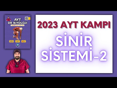 Sinir Sistemi-2.Bölüm AYT Biyoloji Kampı Konu Anlatımı/ 11.Sınıf 2024 Tayfa