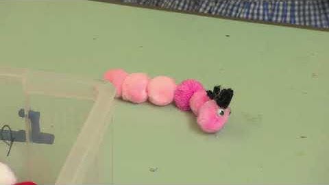 Everybody Up 3. Unit 2 lesson 4: activities